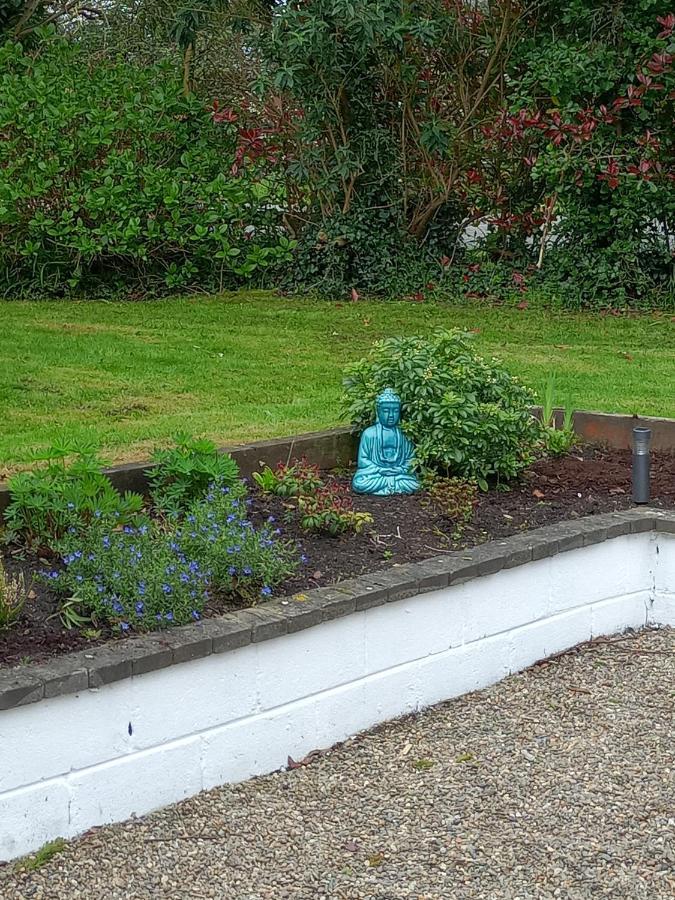 Applelea House Bed & Breakfast Rosslare Harbour Dış mekan fotoğraf