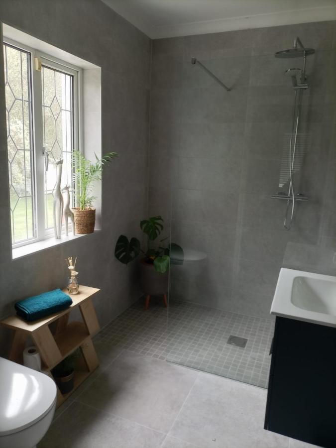 Applelea House Bed & Breakfast Rosslare Harbour Dış mekan fotoğraf