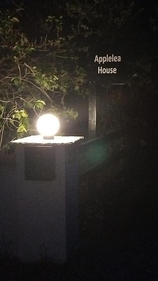 Applelea House Bed & Breakfast Rosslare Harbour Dış mekan fotoğraf